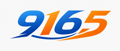9165 brand logo